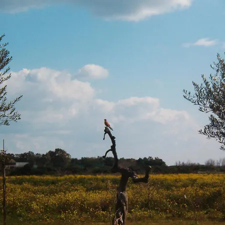 Séjour à la campagne Masseria Scannaturco