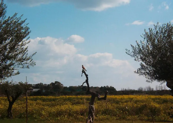 Country house Masseria Scannaturco